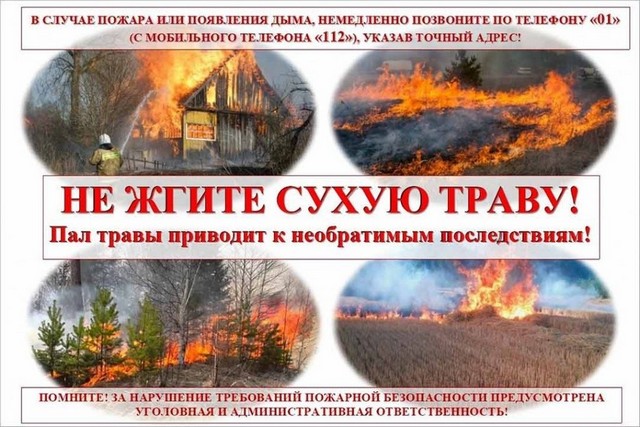 foto 2025 08 05 11 27 001